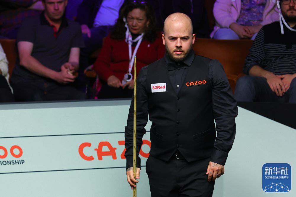 提供了新的 提供了新的