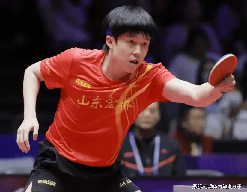 多人关注乒 多人关注乒