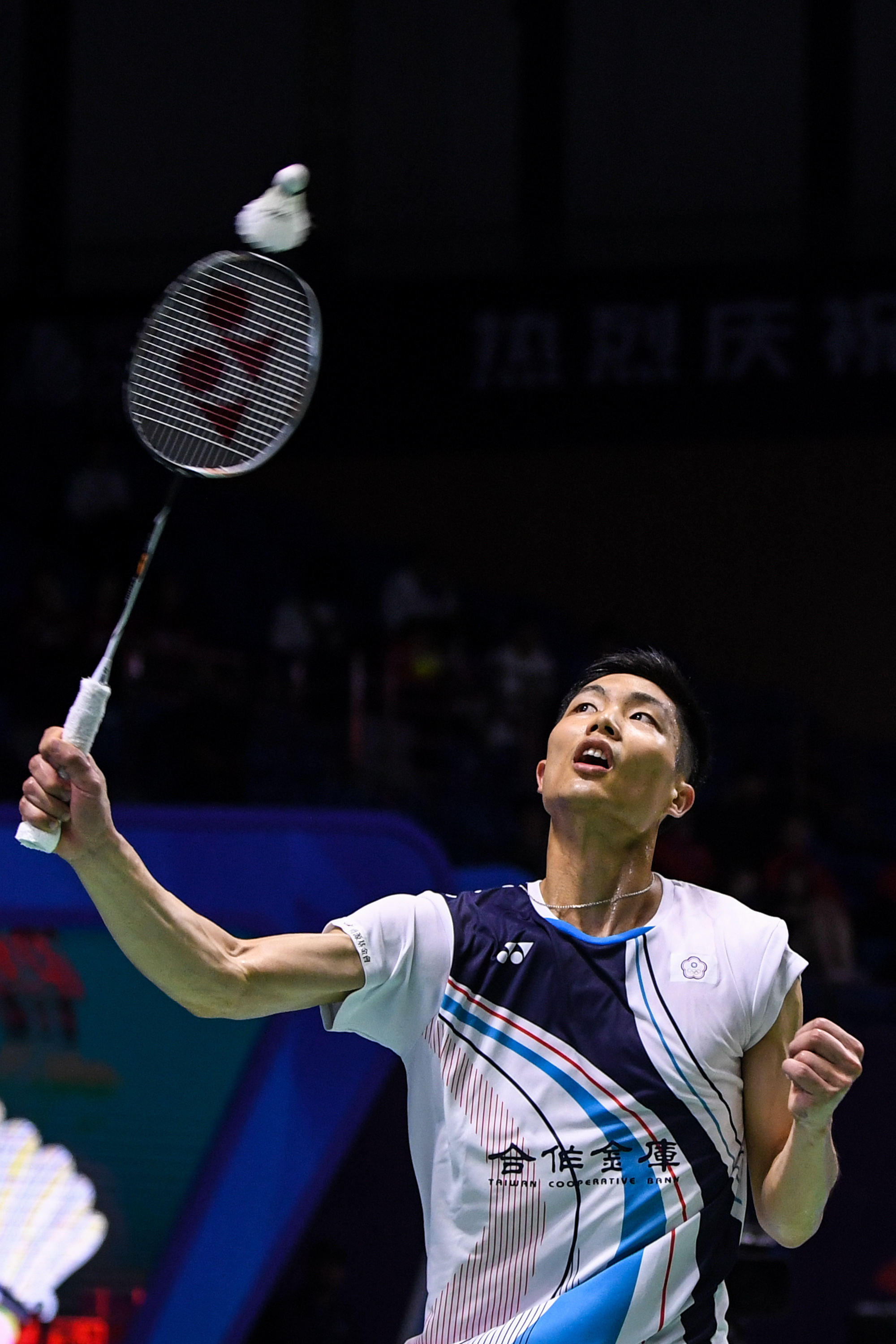 仅是荣誉 仅是荣誉